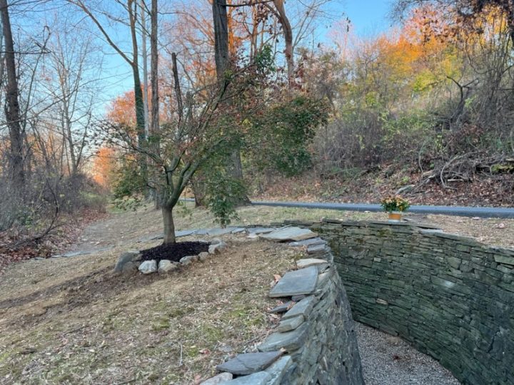 A newly replanted split leaf maple tree with green leaves stands by the Water Way sculpture created by the late Paul Deery on the Karl Stirner Arts Trail in Easton, Pennsylvania.