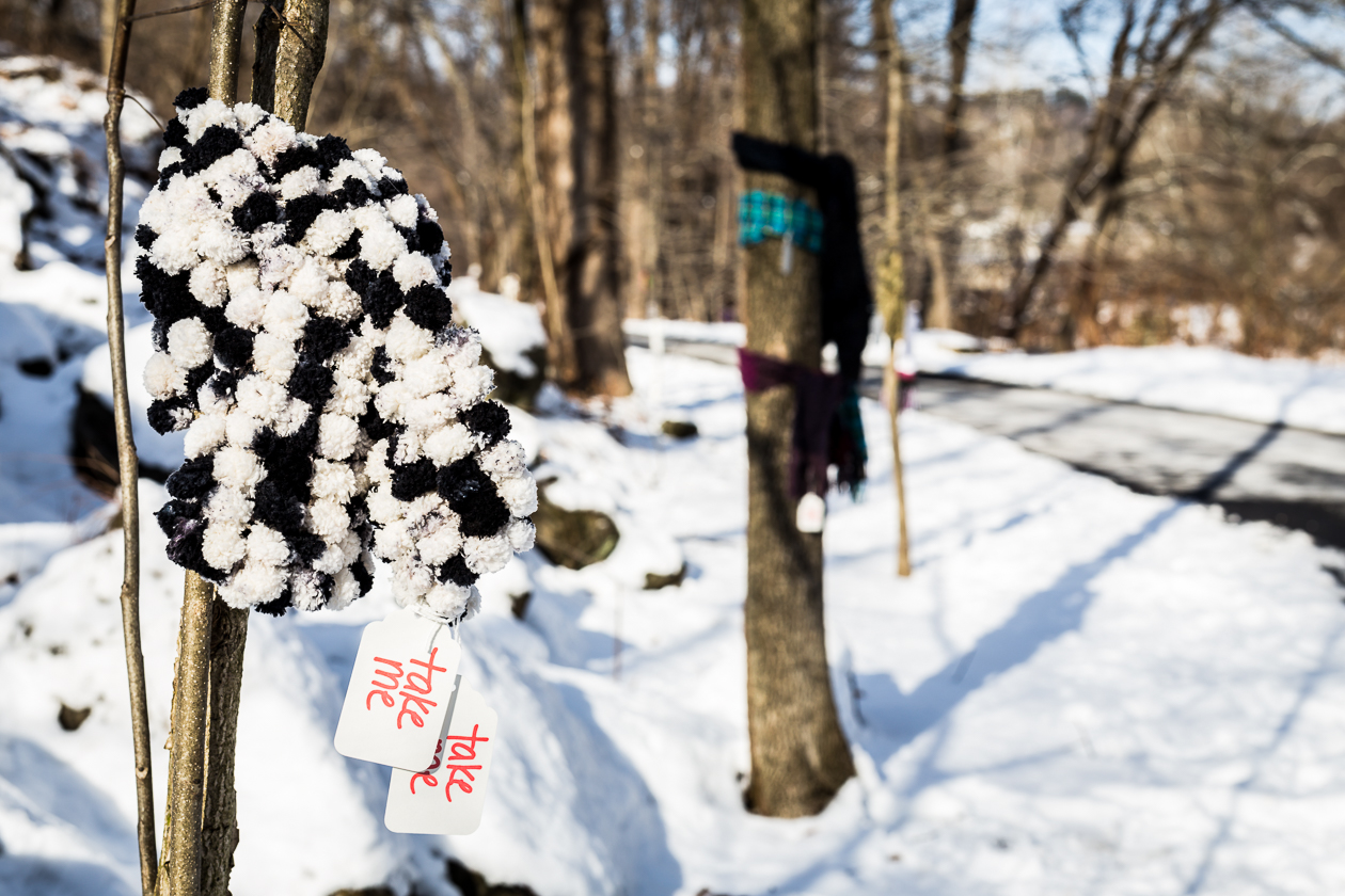 Chase the Chill knitted hat on tree