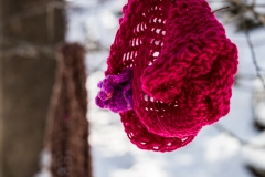 Chase the Chill red knitted hat on branch