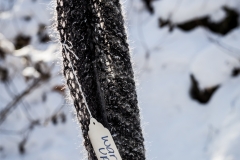 Chase the Chill knitted scarf on branch