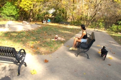 A woman sits on a black bench as a black dog and brown dog are nearby in the dog park on the Karl Stirner Arts Trail in Easton, Pennsylvania.