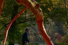 A visitor walks on the trail behind the red Late Bronze Root sculpture by Steve Tobin on the Karl Stirner Arts Trail in Easton, Pennsylvania.
