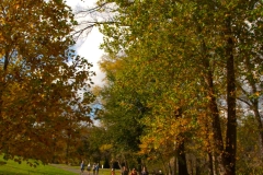 Visitors walk on the path by trees with autumn leaves on the Karl Stirner Arts Trail in Easton, Pennsylvania.