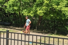 Frisbee-dog-and-owner-scaled