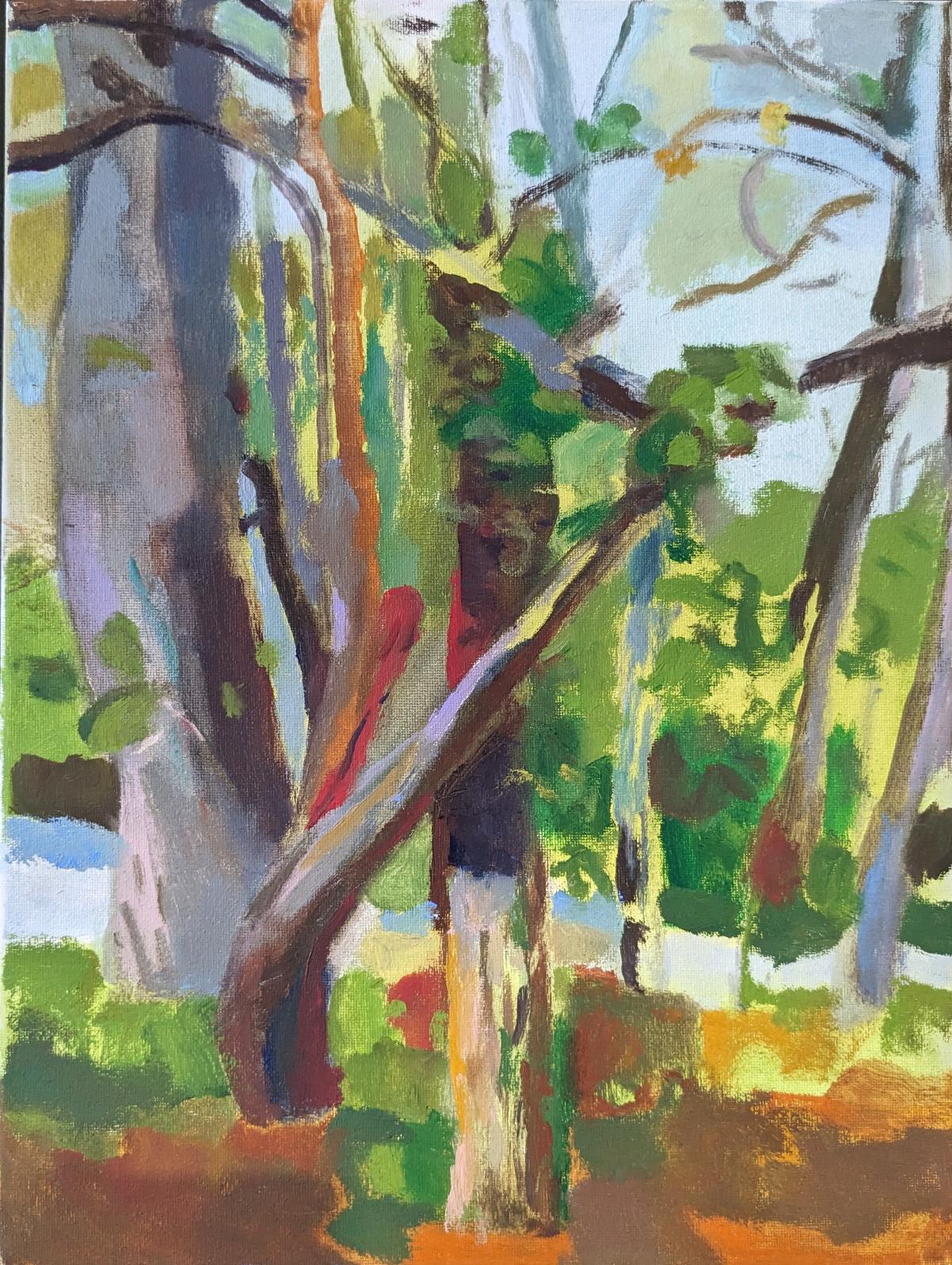A plein air painting of trees by Karen Harrod