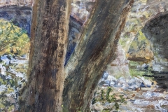 A plein air painting of trees by James Gloria