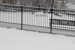 Dog park with a dog and people inside