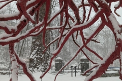 A closeup of Steve Tobin's Late Bronze Root sculpture