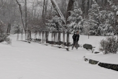 A trail walker by Musical Chimes