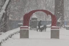 A couple and a dog framed by Karl Stirner's iconic red arch sculpture