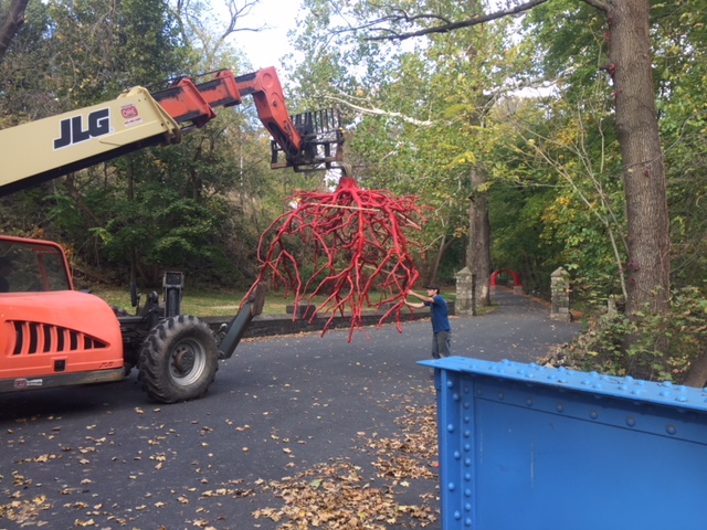 Works use machinery in the installation of the Steve Tobin sculpture Late Bronze Root on the Karl Stirner Arts Trail.