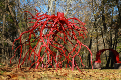 The red sculpture Late Bronze Root by Steve Tobin on the Karl Stirner Arts Trail