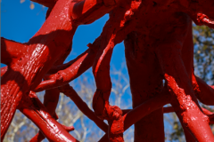 A closeup image of the red Steve Tobin sculpture Late Bronze Root on the Karl Stirner Arts Trail