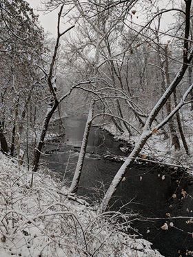 Buskhill Creek with snow-covered trees on each side on on the Karl Stirner Arts Trail