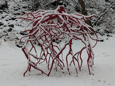 The snow-covered Late Bronze Root sculpture by Steve Tobin on the Karl Stirner Arts Trail