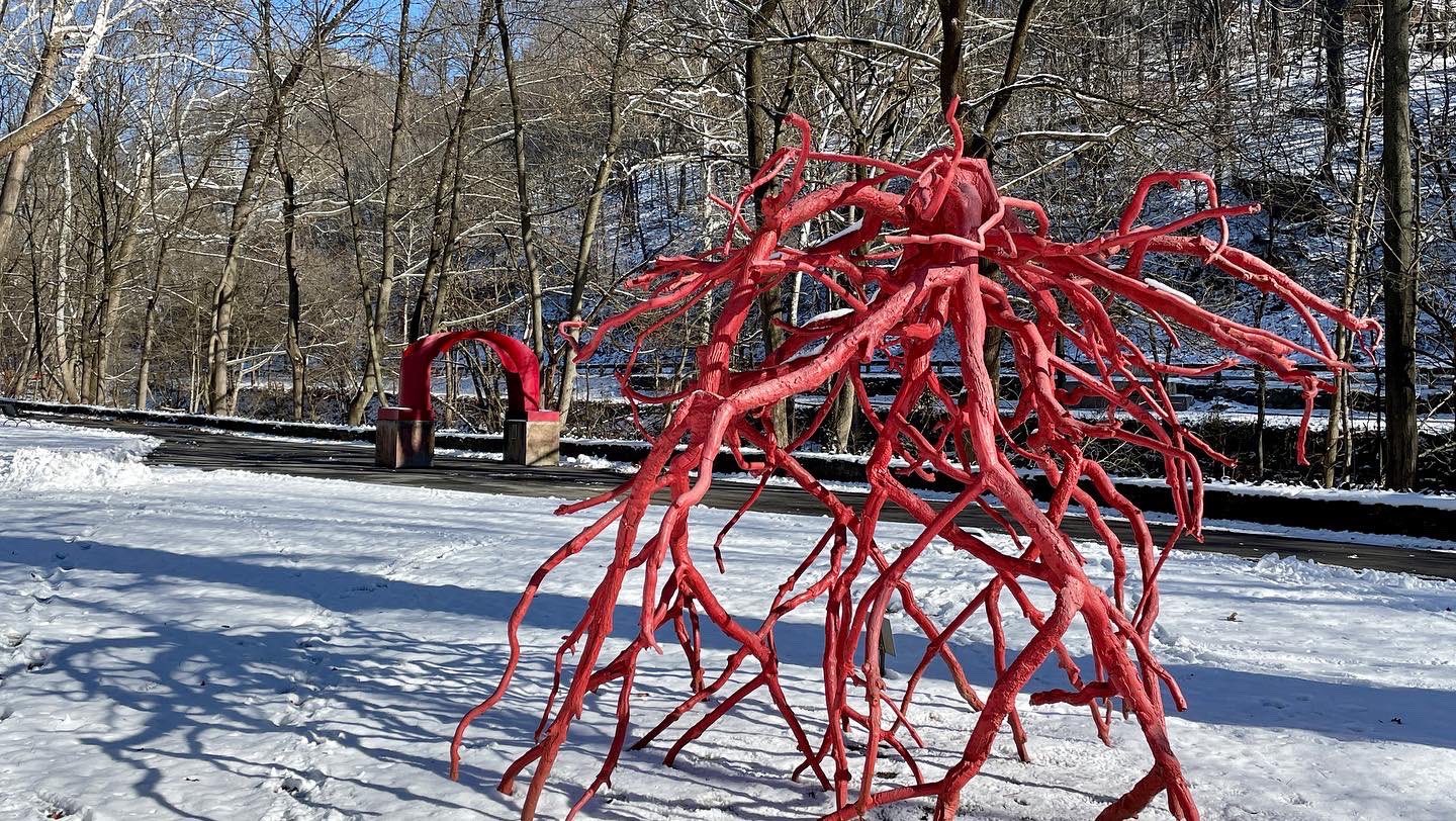 The red Steve Tobin sculpture Late Bronze Root on the Karl Stirner Arts Trail with snow-covered ground around it