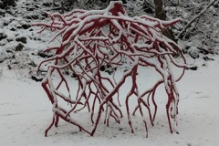 The snow-covered Late Bronze Root sculpture by Steve Tobin on the Karl Stirner Arts Trail