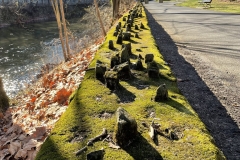 A mossy wall by Bushkill Creek and the Karl Stirner Arts Trail
