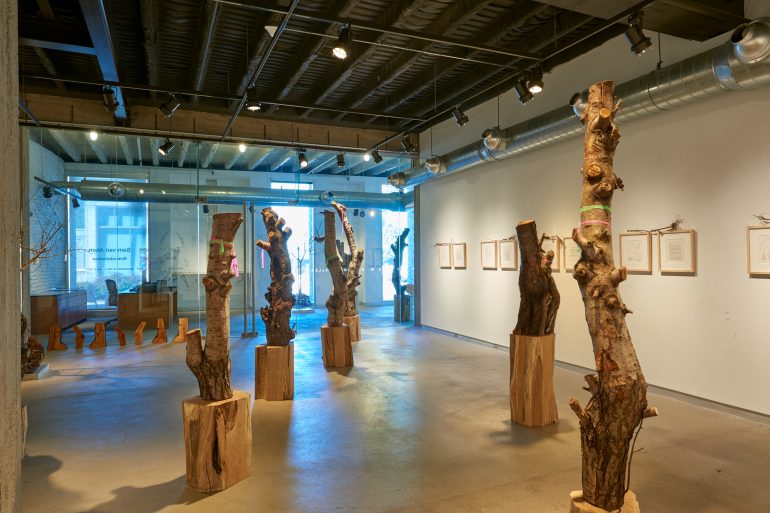 An indoor installation of portions of trees by Sam Van Aken