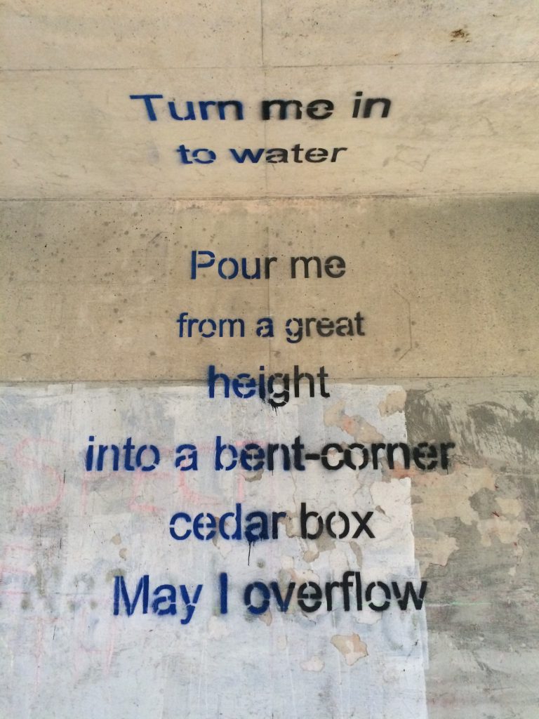 The artwork titled Funeral by Beth Seetch on the Karl Stirner Arts Trail in Easton Cemetary features words spray painted on a tunnel ceiling and walls. The words are: Turn me in to water. Pour me from a great height into a bent-corner cedar box. May I overflow.