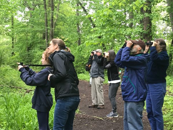 A group of people looking toward the sky, some with binoculars, during a birdwalk event on the Karl Stirner Arts Trail in Easton, Pennsylvania