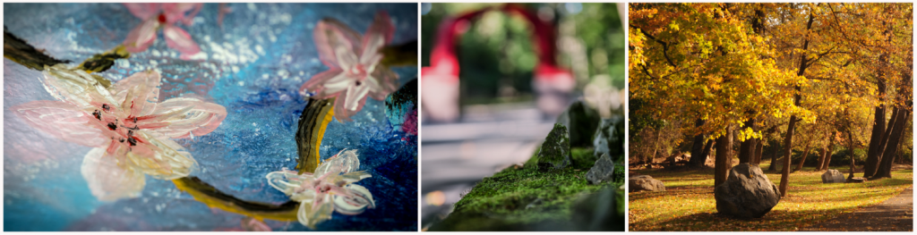 Three separate images of painted flowers, the red arch sculpture, and trees with yellow autumn leaves on the Karl Stirner Arts Trail in Easton, Pennsylvania