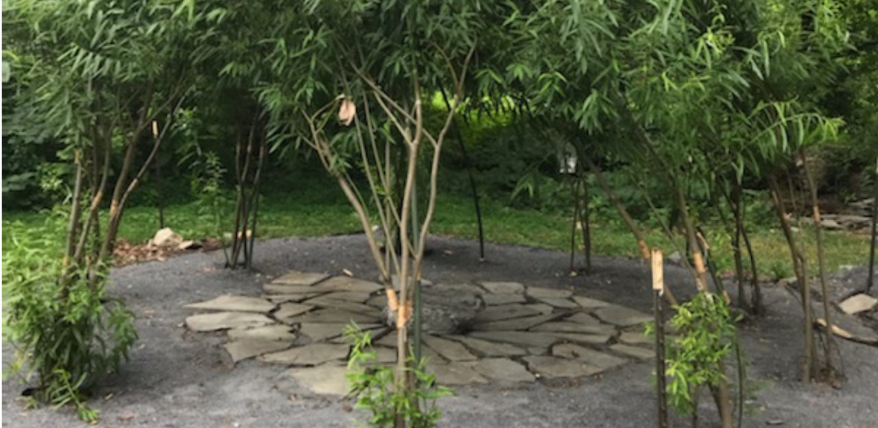 A group of leaning trees surround some pieces of stone in a circle on the ground comprise the Living Willow installation on the Karl Stirner Arts Trail in Easton, Pennsylvania.