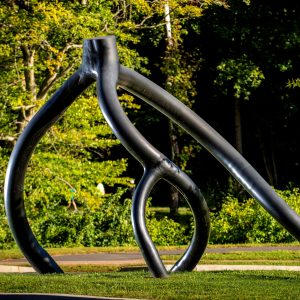 Curving steel tubes make up the sculpture Black Steel Root by Steve Tobin on the Karl Stirner Arts Trail in Easton, Pennsylvania.