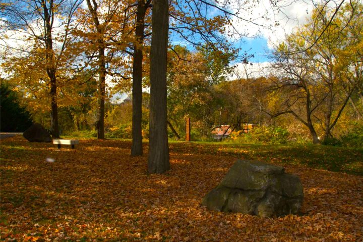 A fall scene of brown leaves on the ground and trees on the Karl Stirner Arts Trail in Easton, Pennsylvania.