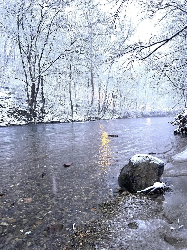 The Bushkill Creek and trees covered by snow on the Karl Stirner Arts Trail in Easton, Pennsylvania