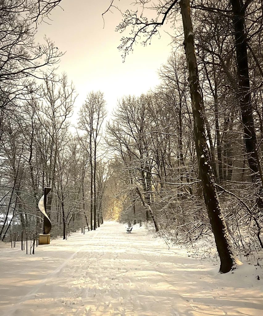 The walking path and trees on both sides of it are covered by snow on the Karl Stirner Arts Trail in Easton, Pennsylvania.