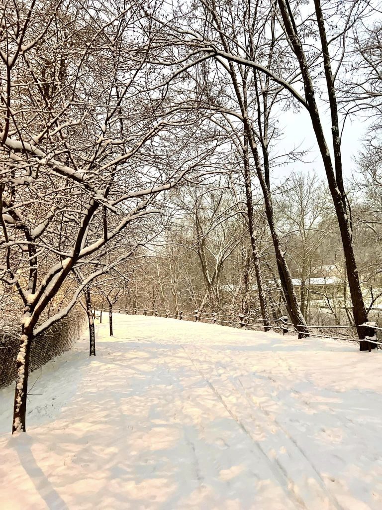 Snow blankets the path and trees on either side on the Karl Stirner Arts Trail in Easton, Pennsylvania.
