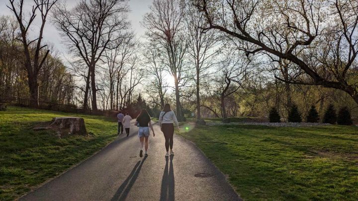 Two people walk on the Karl Stirner Arts Trail in Easton, Pennsylvania, with their shadows trailing behind them and trees bereft of leaves ahead.