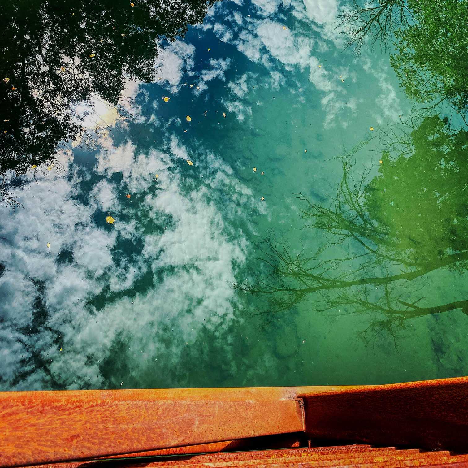 A reflection of trees appears in Bushkill Creek below the pedestrian bridge on the Karl Stirner Arts Trail in Easton, Pennsylvania.