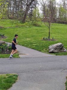 A man runs on Pink flowers on the Karl Stirner Arts Trail in Easton, Pennsylvania.