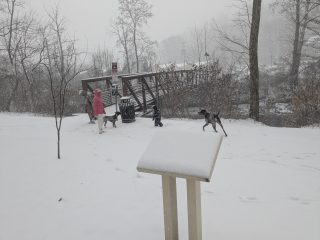 A family with two dogs enjoys time in the snow on the Karl Stirner Arts Trail in Easton, Pennsylvania.