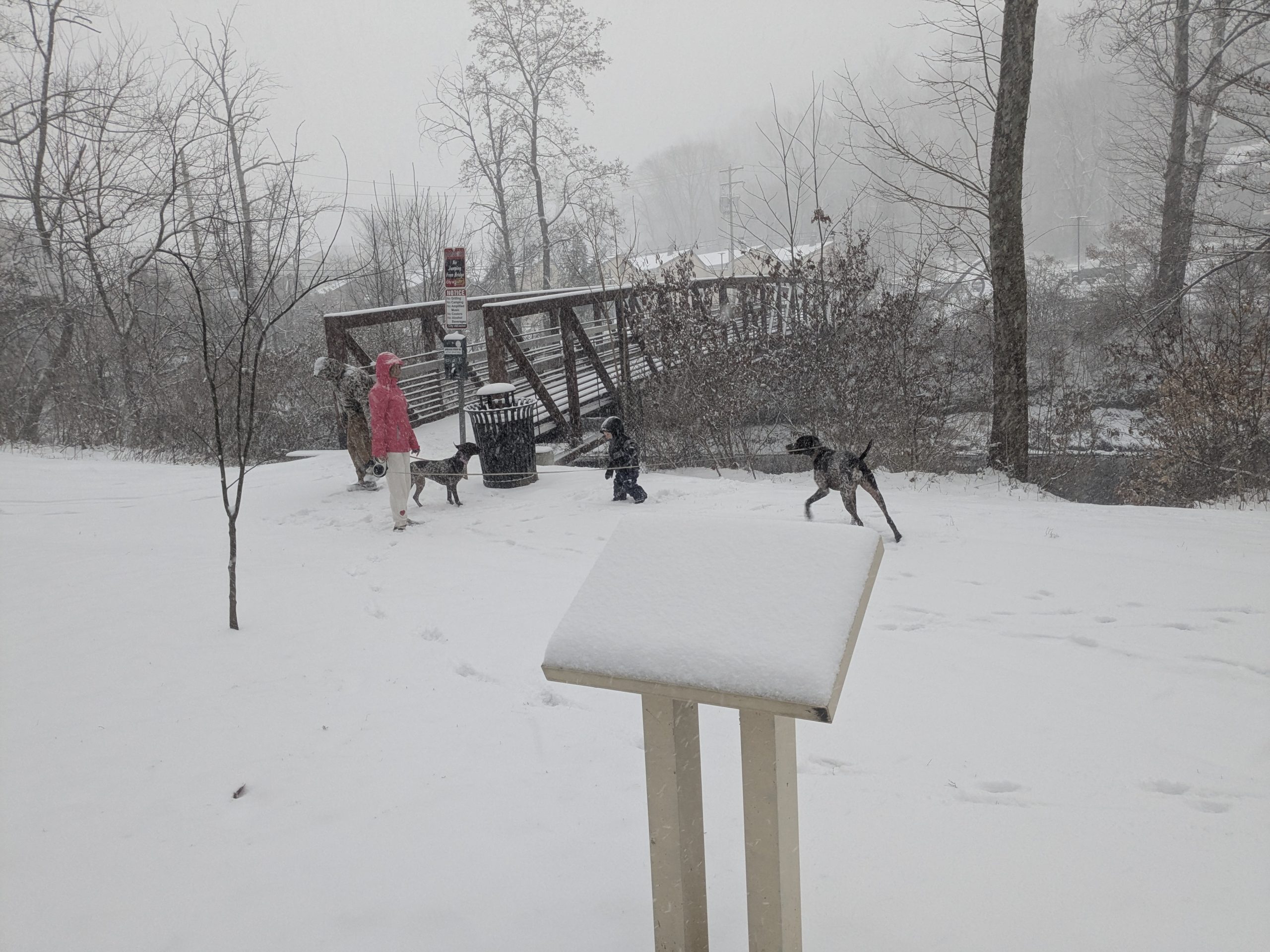 A couple, child, and dog in the snow